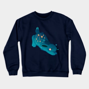 Zeta Leporis (Star Jumper) Crewneck Sweatshirt